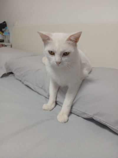 Mia_400x532_