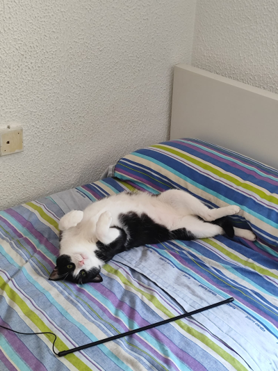 Teo_400x533