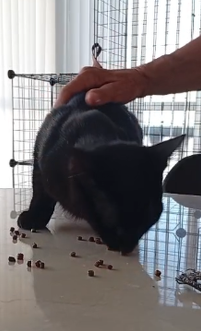 Lenny_Leckerli_400x659