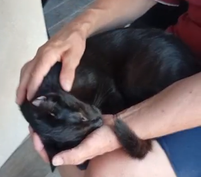 Lionel_Vertrauen_400x353