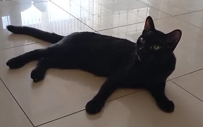 Mikel_fragend_400x252