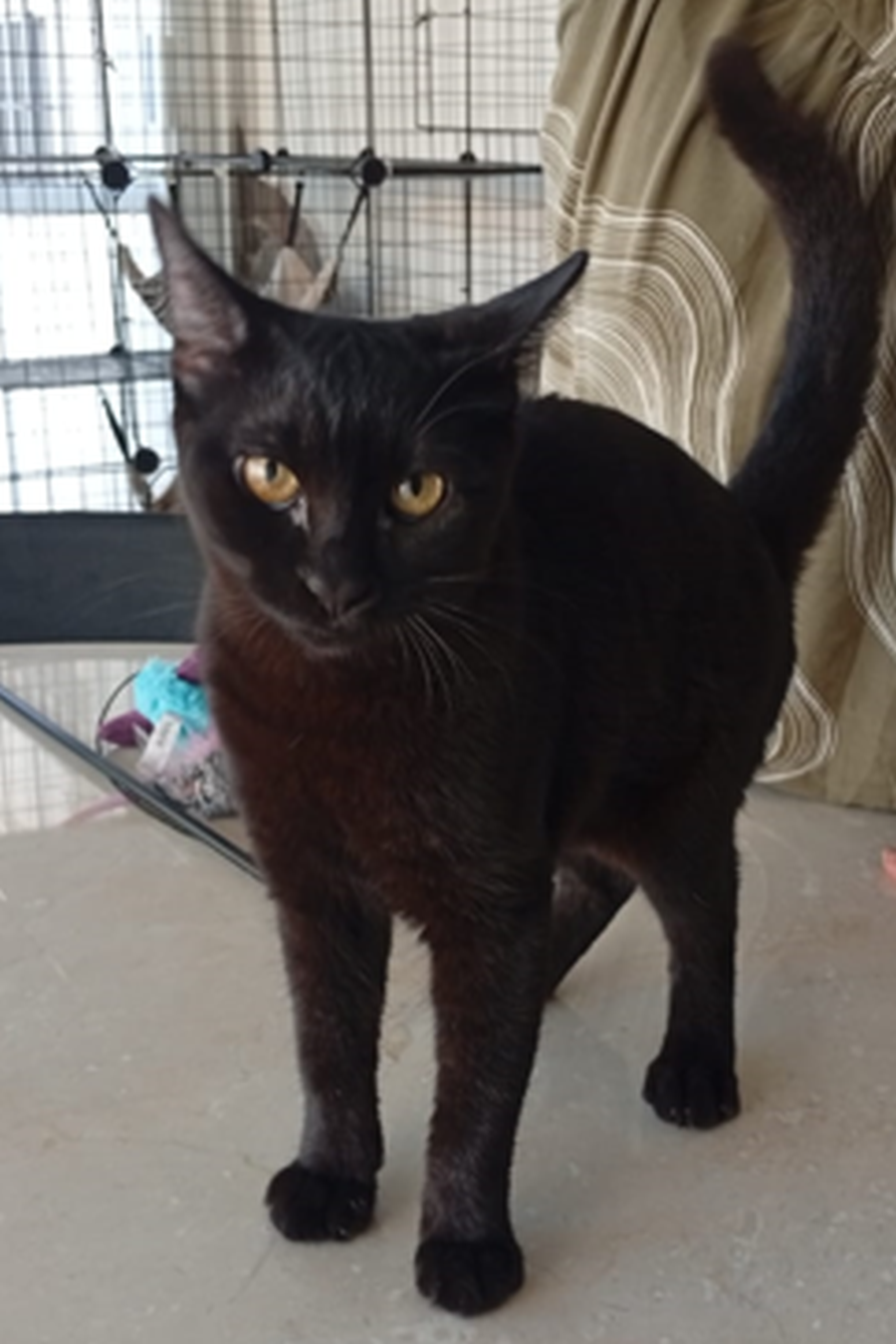 Mirija fragend_900x1350