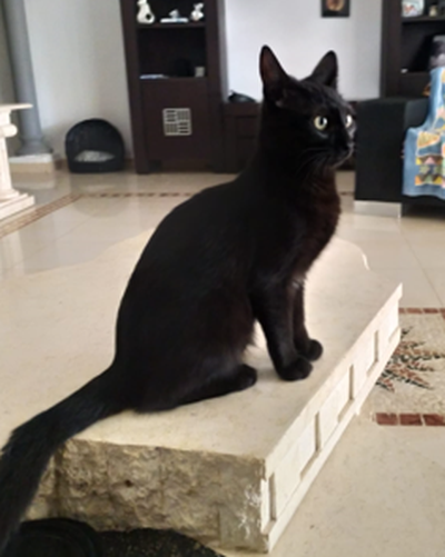 Mirija_lauschend_400x501