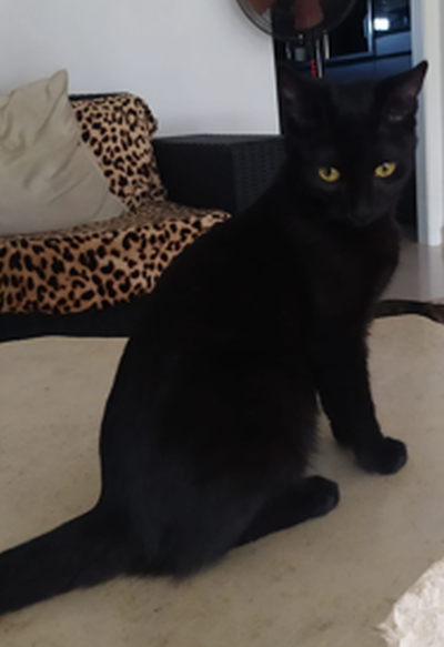 Mirija_nachdenklich_400x583-