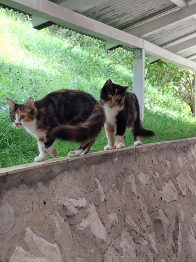 Melody mit Tochter_400x533_