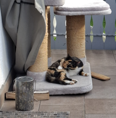 Melody_Balkon_400x406