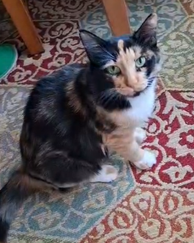 Melody_fragend_400x501