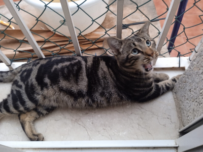 Teddy_Fenster_400x300