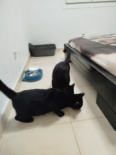 Mikel_Moritz_400x533