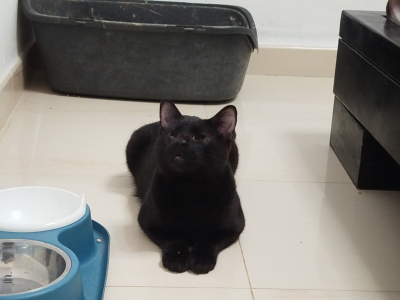 Moritz 400x300 Moritz 400x300