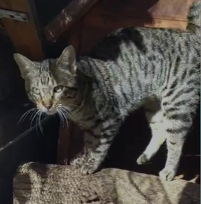 Juri_im Gehege 400x405