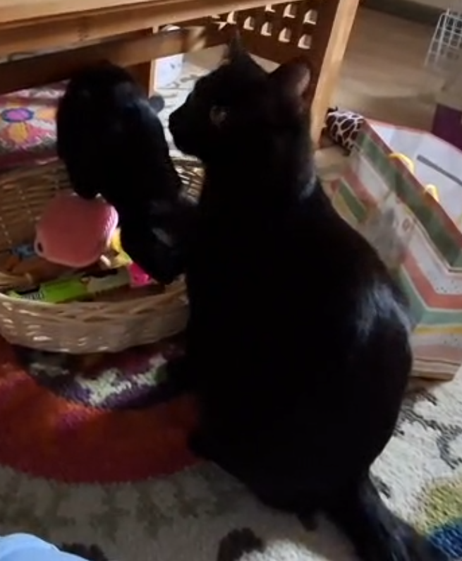 Lenny & Lionel_gross2