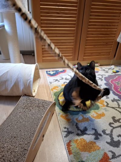 Mikel_spielend-400x533 Mikel