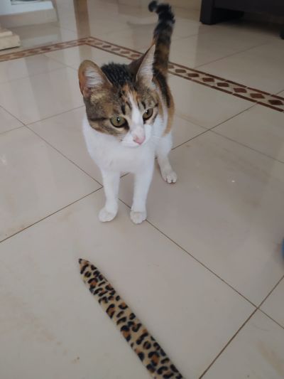 Jenny_400x533