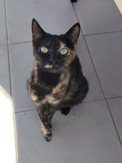 Ruana_400x533